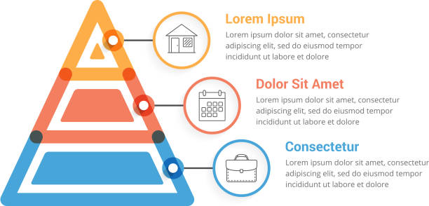 피라미드 인포 그래픽 - pyramidal cell stock illustrations