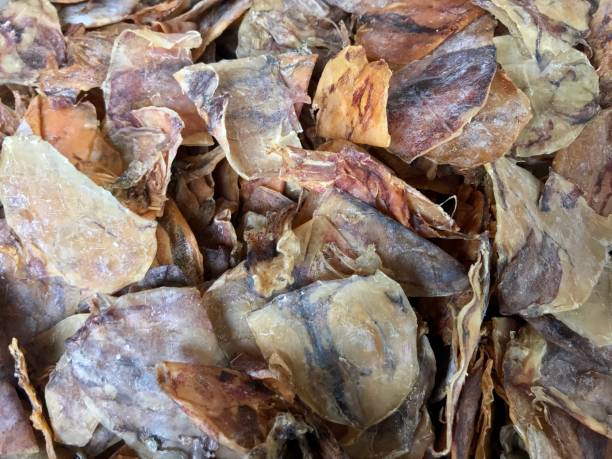 istock Dried seafood, preserved food, dried squid 904519764