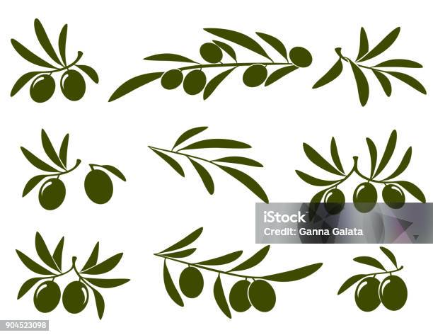 Olive Branch Set Stock Illustration - Download Image Now - Olive - Fruit, Icon Symbol, Tree