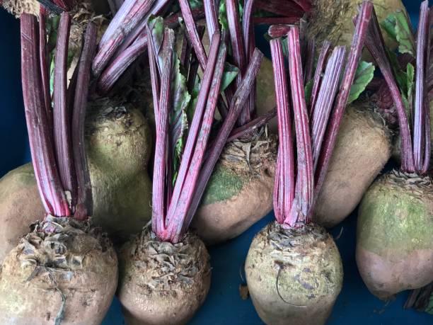 istock Pile of beetroot selling in the market 904527330