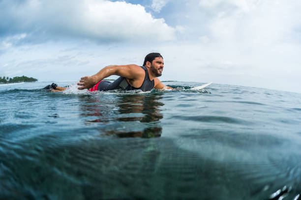 istock Muscular surfer paddling in the ocean 904527722