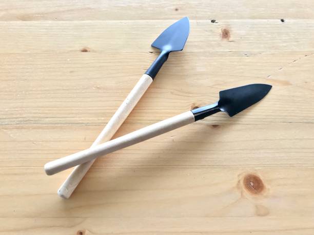 istock Small gardening tool on wooden floor for children 904536164