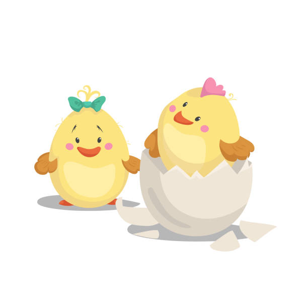kurczak nowo narodzony chłopiec z grzebieniem w wyklutym jajkiem i dziewczyna pisklę z zielonym łukiem. kreskówka płaskie modne projekt wiosny i nowo narodzone dziecko wektor ilustracji. - baby chicken eggs young bird easter stock illustrations