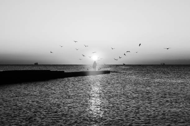 istock Autumn seascape at dawn 904541104