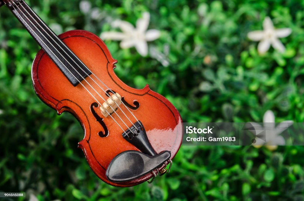 International violin day Violin on green grass. Music concept. Acoustic Music Stock Photo