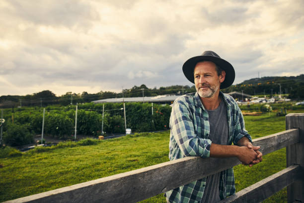 istock Running his eye over his farm 904558900