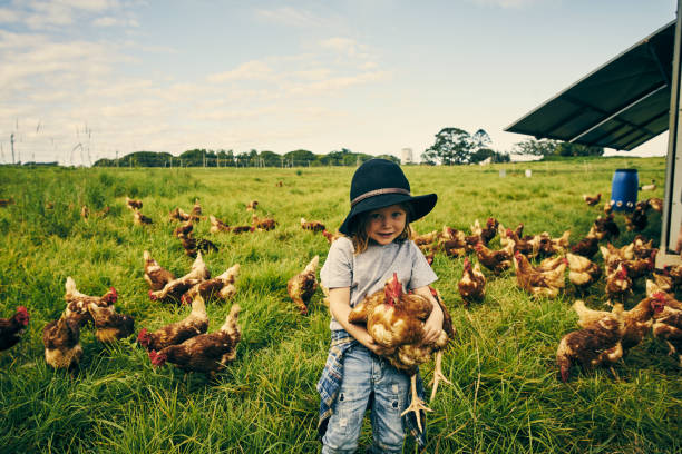 istock This one's my favourite 904559152