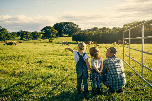 What's that one doing? Rearview shot of an handsome male farmer and his two kids on their farm dairy stock pictures, royalty-free photos & images