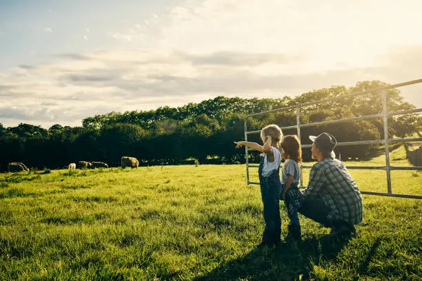 Rearview shot of an handsome male farmer and his two kids on their farm