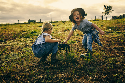 Full length shot of a little boy petting a piglet with his sister on their dairy farm