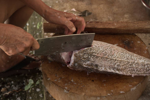 istock Preparing grouper fish for food 904563872