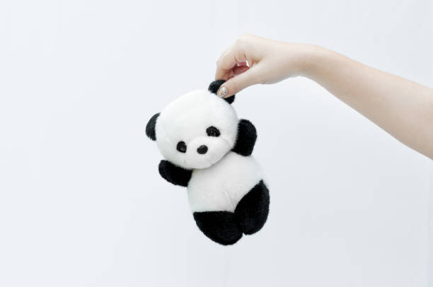 istock hand holding panda doll, black rim of eyes 904564848