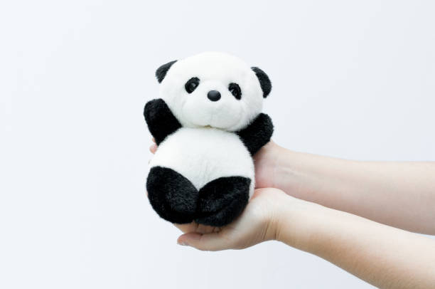 istock hand holding panda doll, black rim of eyes 904565032