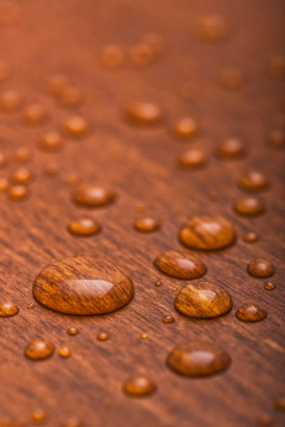 istock Various size water droplets beading up on a finished piece of wood 904576246