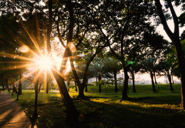 istock Park in the morning 904586806