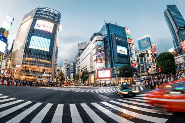 istock Tokyo Shibuya Night Life 904589292