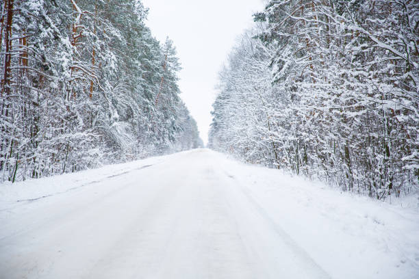 istock ukrainian winter forest road in snow 904598716