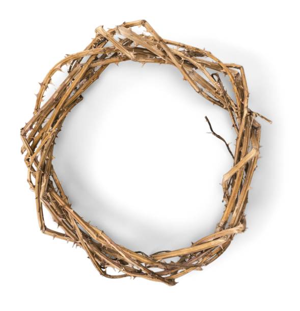 istock Crown of thorns. 904617118