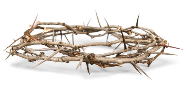 istock Crown of thorns. 904617318