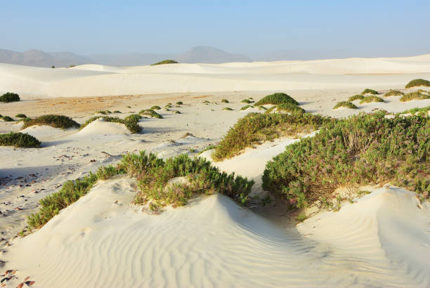Socotra island, Yemen