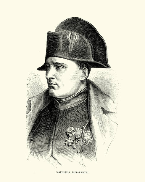 illustrations, cliparts, dessins animés et icônes de napoléon ier - napoleon bonaparte