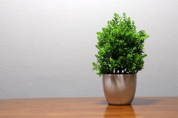 istock Green plastic tree in the white pot on the wooden table. 904631390