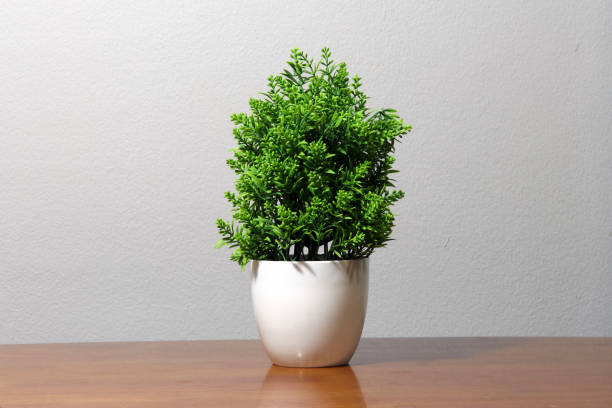 Green plastic tree in the white pot on the wooden table and bright grey color of background.