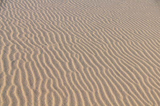 Wind creating regular ripples in sand