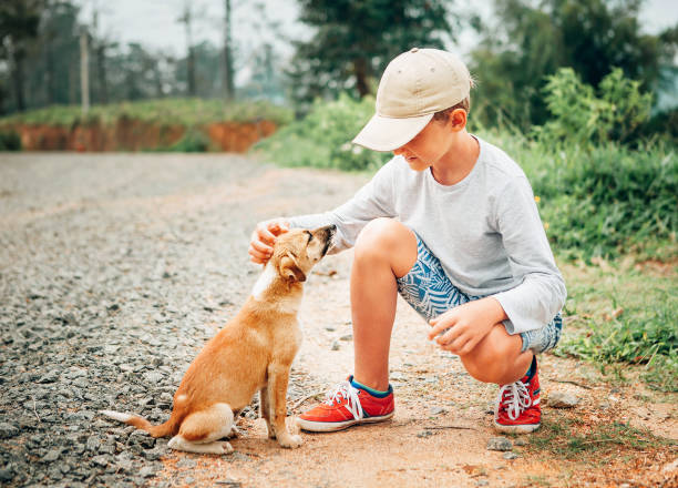 muchacho reunió un perrito sin hogar en la calle - cachorro animal salvaje fotografías e imágenes de stock