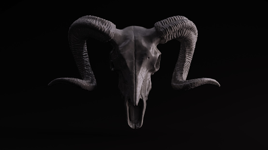 Grey Sculpted Ram Skull 3d illustration 3d rendering