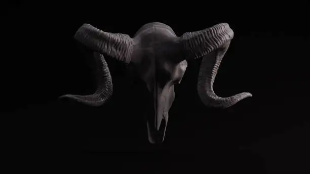 Photo of Grey Sculpted Ram Skull