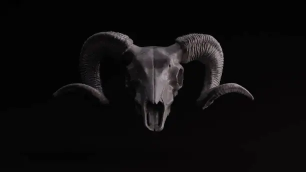 Photo of Grey Sculpted Ram Skull