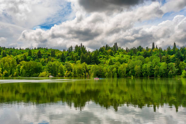 istock Reflecting Waters of the Willamette River 904638768
