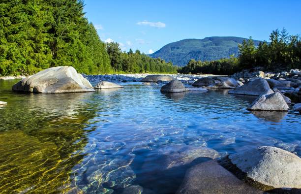 rzeka fraser kolumbia brytyjska - river view zdjęcia i obrazy z banku zdjęć