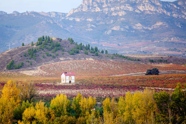 A landscape view near Haro, Rioja. Spain.