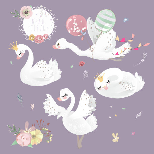 ilustrações de stock, clip art, desenhos animados e ícones de swan (goose, duck) with crown, flowers and balloons collection, set - swan princess cartoon crown
