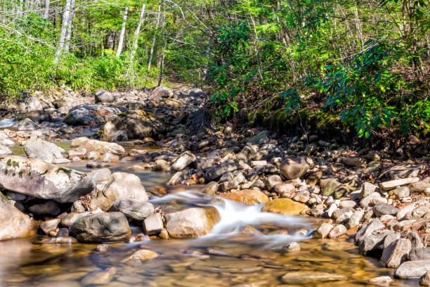 closeup de corriente de la roca superficial con agua suave sedosa y cascada en otoño con hoja verde follaje, piedras y larga exposición que fluye arroyo - 5519 fotografías e imágenes de stock