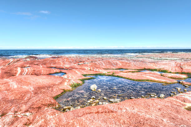 화려한 붉은 바위 수영장 근접 촬영에 비치 해 안에의 세인트 로렌스 강 셍 트 루스, 퀘벡, 캐나다 지역 개 스 피에에서 조 수 - 5545 뉴스 사진 이미지