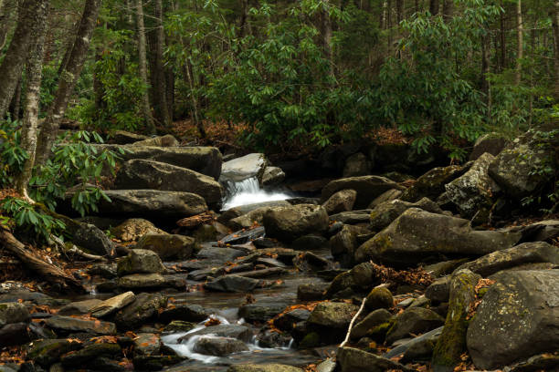 istock Alum Cave Creek, GSMNP 904662404