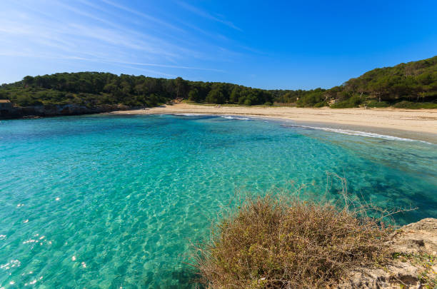 istock Beautiful beach Cala Mondrago with azure water, Majorca island 904679938