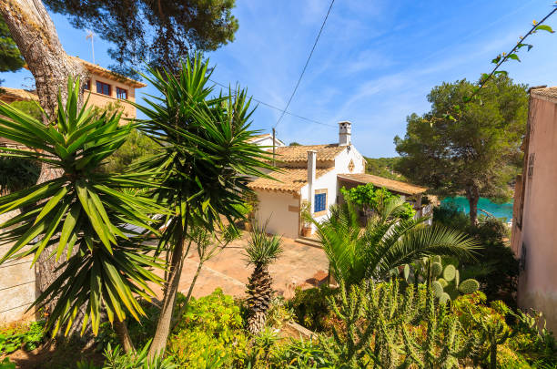 istock Plants in small village Cala Figuera on Majorca island, Spain 904679998