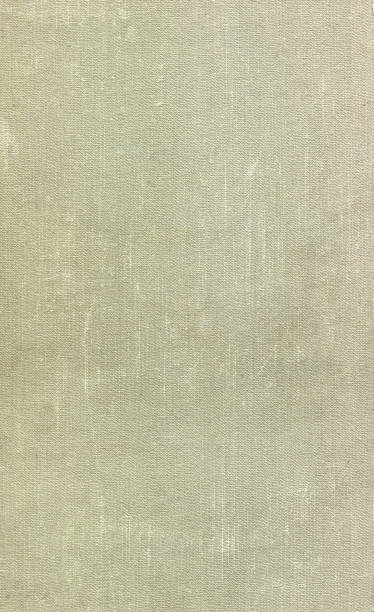 istock Dirty and scratched old light green cloth book cover. Background 904680602