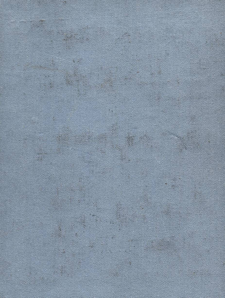istock Dirty and scratched old light gray cloth book cover. Background 904683162