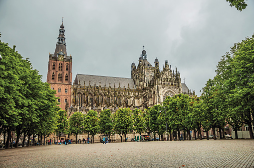 s-Hertogenbosch, southern Netherlands - July 01, 2017. Wide square with cobblestone and trees in front of St. John's Cathedral in a cloudy day at s-Hertogenbosch. Gracious historical city with vibrant cultural life