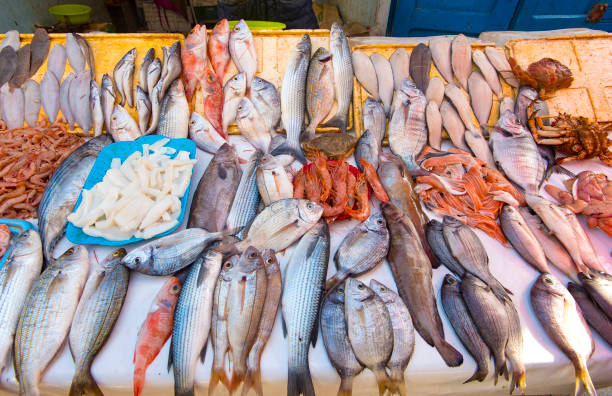 istock Real fish market and fresh fish, seafood from Atlantic ocean in Morocco 904683902