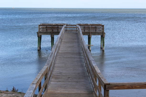 istock Pier San Antonio Bay Gulf Coast Texas 904684540