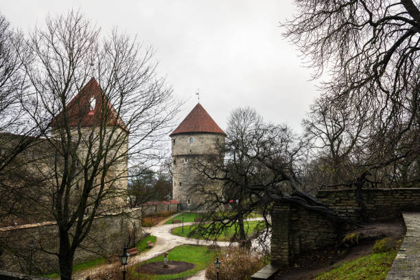 istock Old tower gates in Toompea, Tallinn 904687320