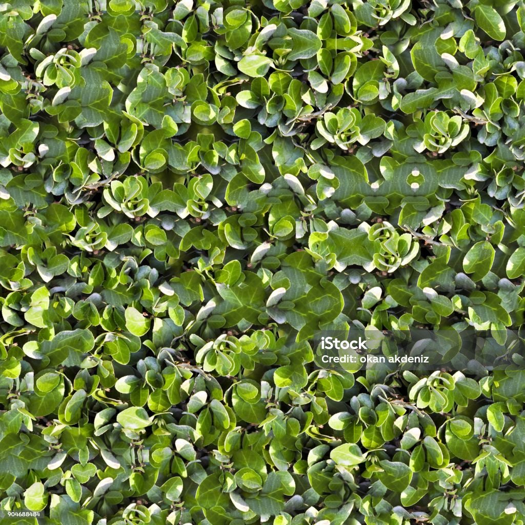 Seamless Tileable Grass Ground Pattern Texture Stock Photo - Download ...