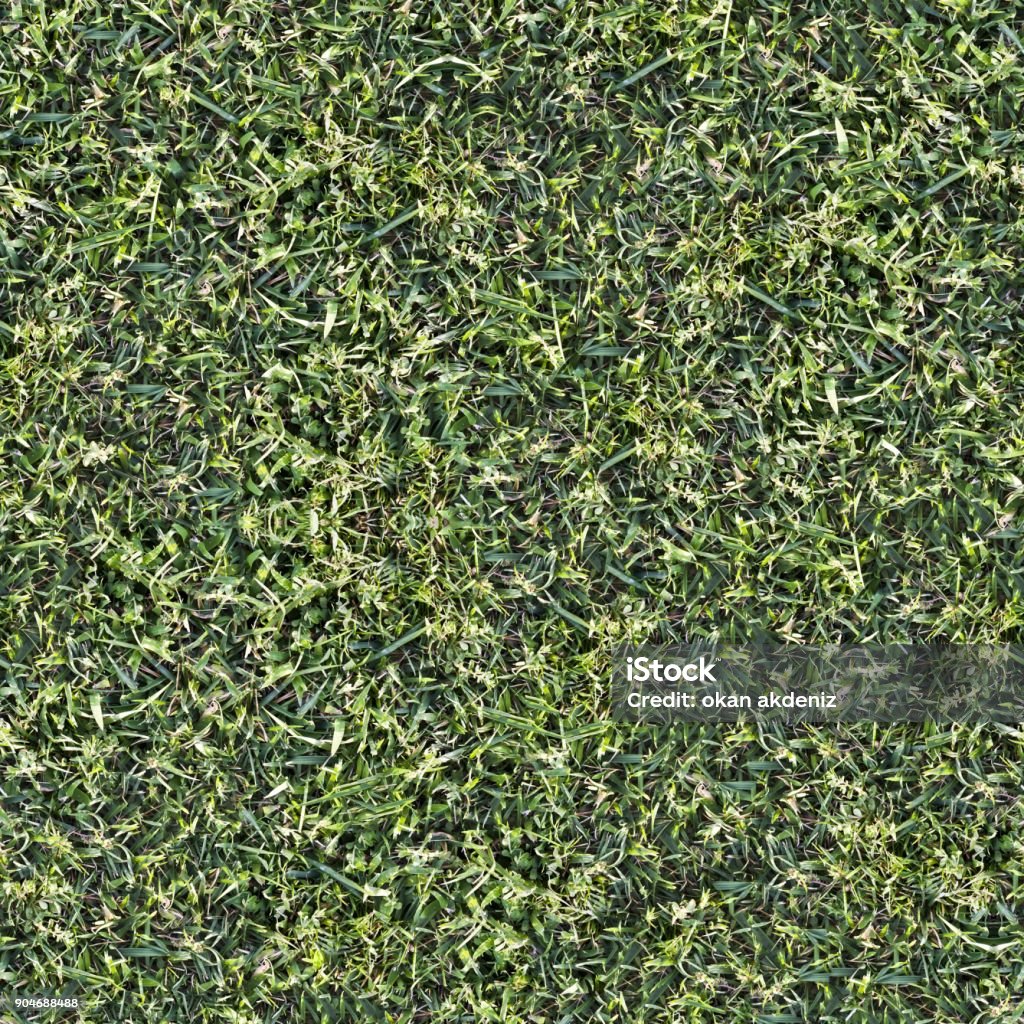 Seamless Tileable Grass Ground Pattern Texture Stock Photo - Download ...