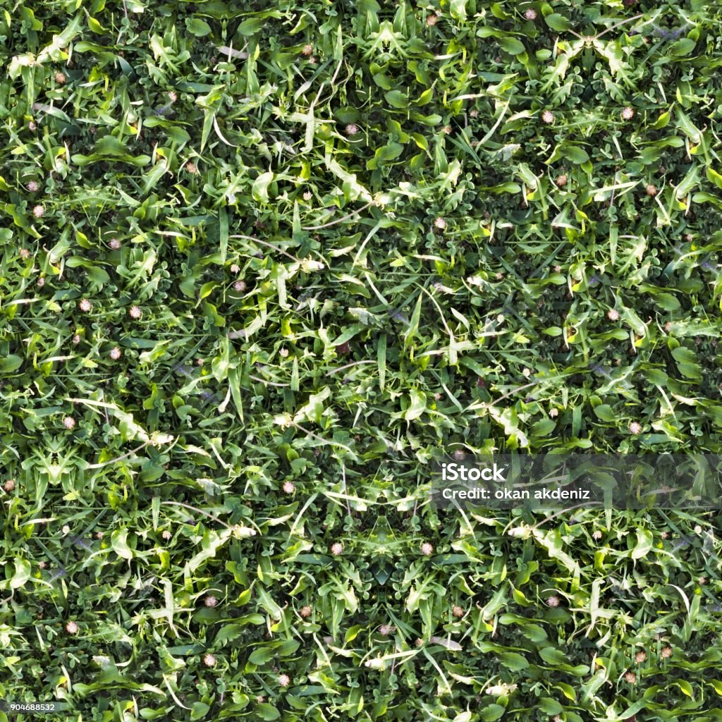 Seamless Tileable Grass Ground Pattern Texture Stock Photo - Download ...